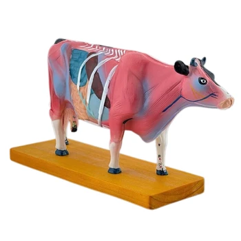 Анатомическая модель крупного рогатого скота J6PA для Обучения в Больничной лаборатории, Анатомическая модель Коровы для иглоукалывания и прижигания